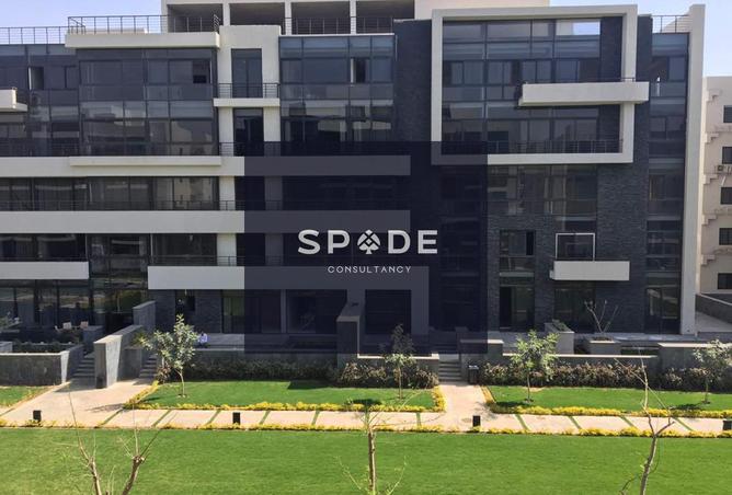 8233791 - صورة العقار 2