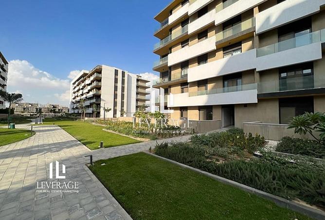 8384417 - Property Image 3