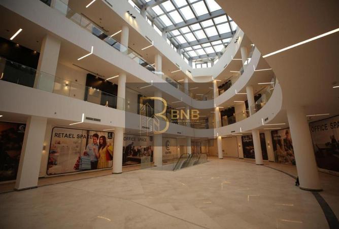 8246389 - Property Image 3