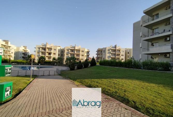 8234217 - Property Image 3