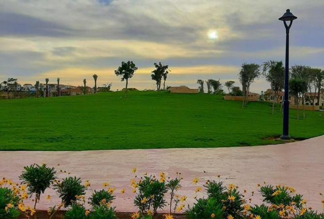 8253527 - صورة العقار 2