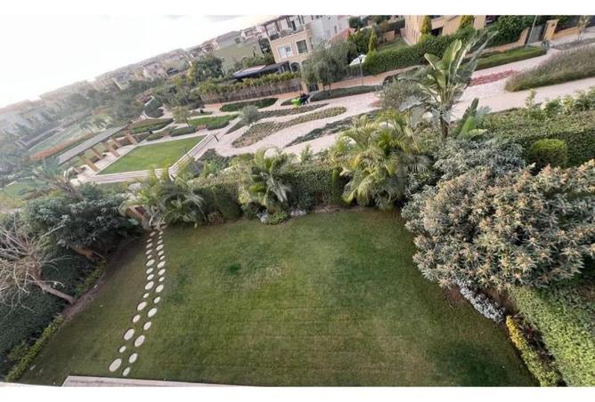 7969337 - صورة العقار 3