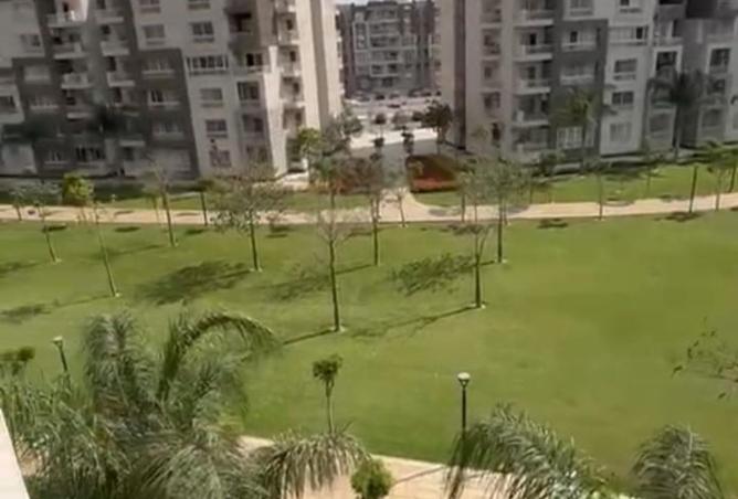 8196091 - Property Image 3