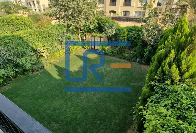 8155549 - Property Image 2