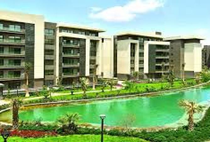 8425120 - Property Image 3