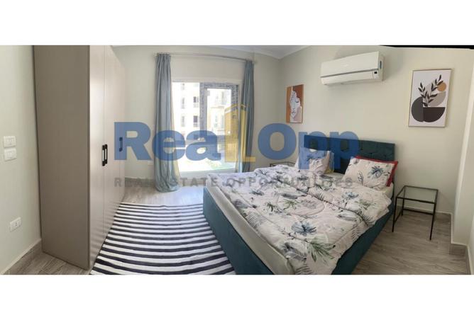 8137557 - Property Image 2