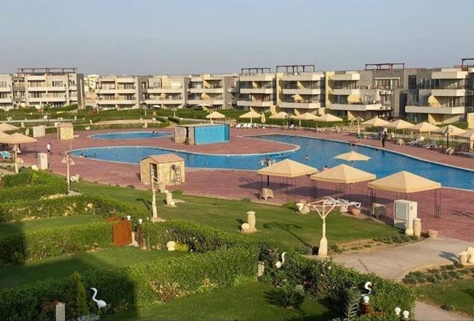 8145486 - صورة العقار 3