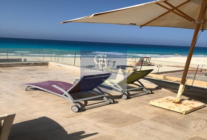 7989983 - Property Image 2