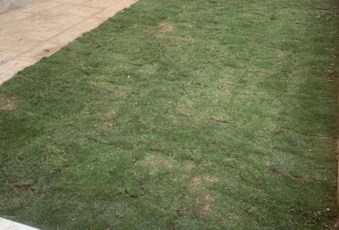 8350715 - الصورة الرئيسية للعقار