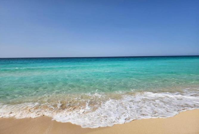 8000497 - صورة العقار 2