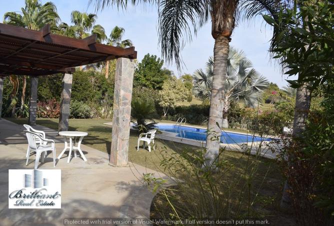 8144835 - صورة العقار 2