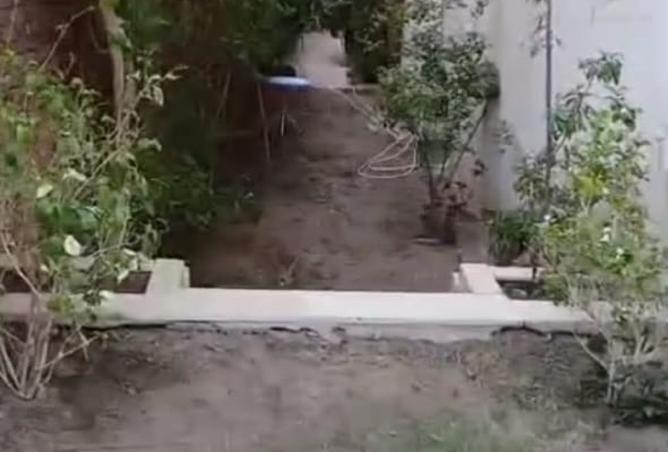 8220859 - Property Image 3