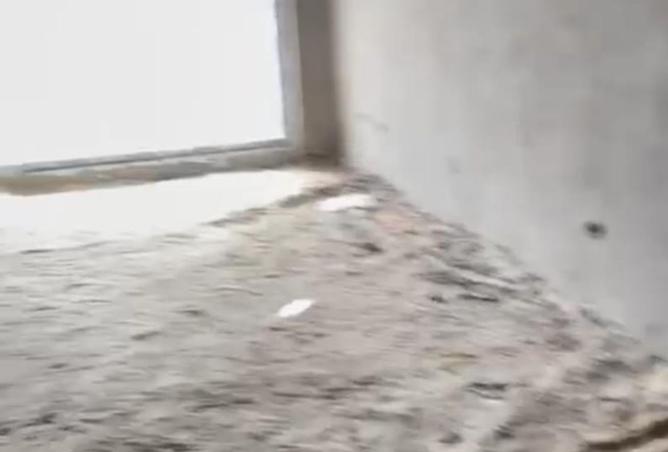 8342287 - صورة العقار 3