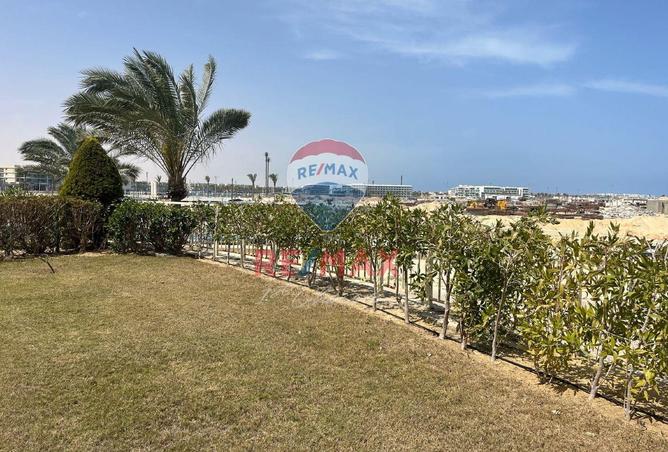 8125523 - Property Image 3
