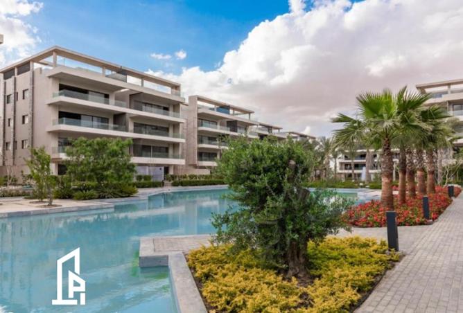 8191786 - Property Image 3