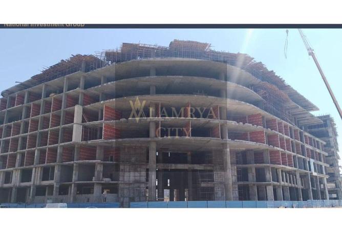 7948607 - Property Image 3