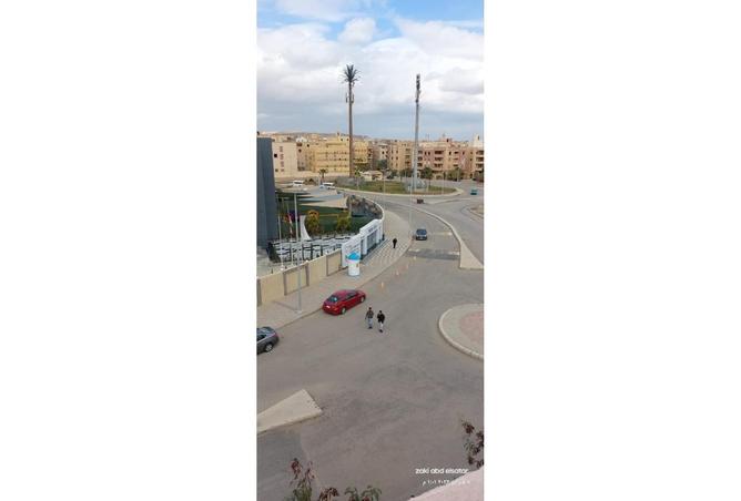 8100351 - Property Image 3