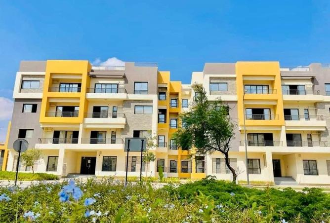 8537644 - صورة العقار 3