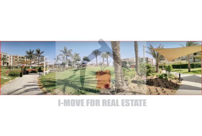 7981655 - صورة العقار 3