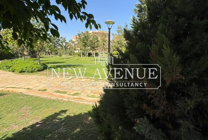 8351535 - صورة العقار 2