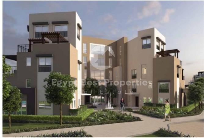 8382016 - Property Image 2