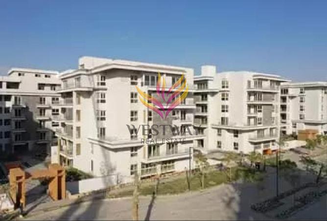 8262527 - Property Image 3