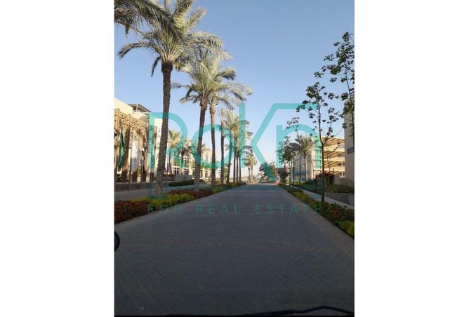 8377733 - Property Main Image