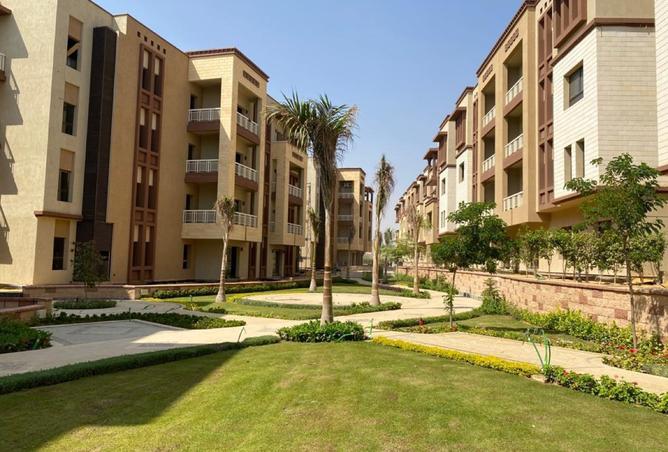 8039359 - Property Image 3