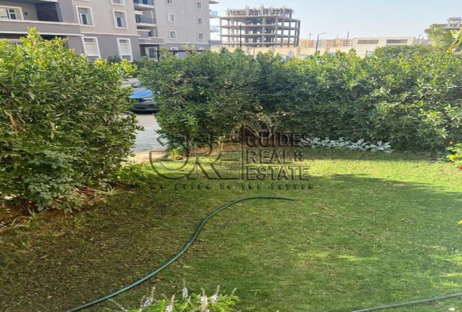 8387264 - Property Image 3