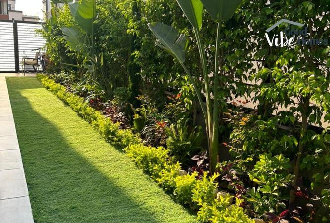 8429007 - صورة العقار 3