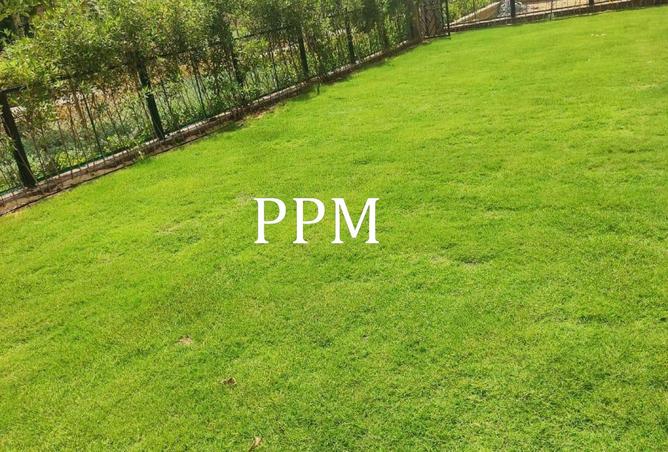 8556943 - Property Image 2