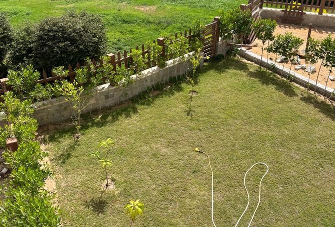 8330704 - صورة العقار 3