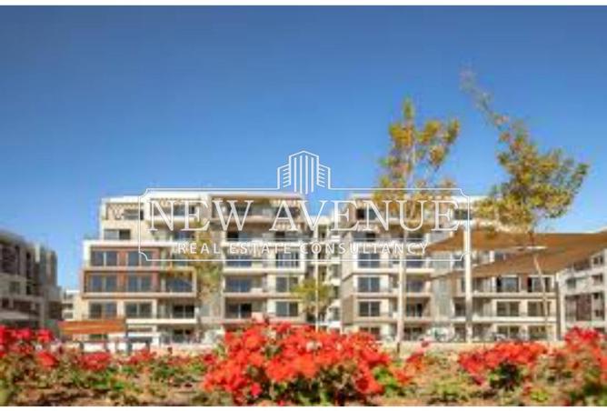 8146813 - Property Image 2