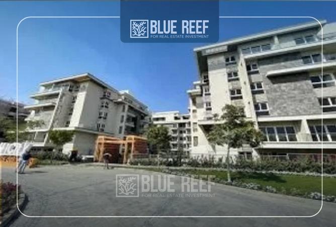 8412479 - صورة العقار 2