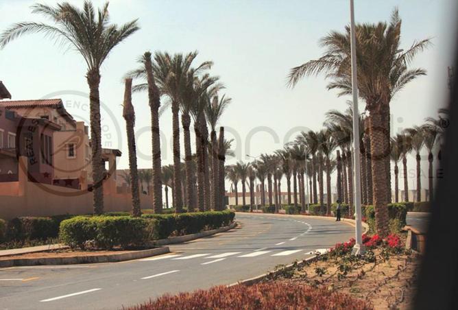 8335450 - صورة العقار 3