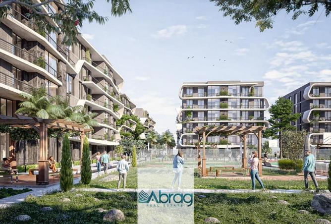 8203701 - صورة العقار 3