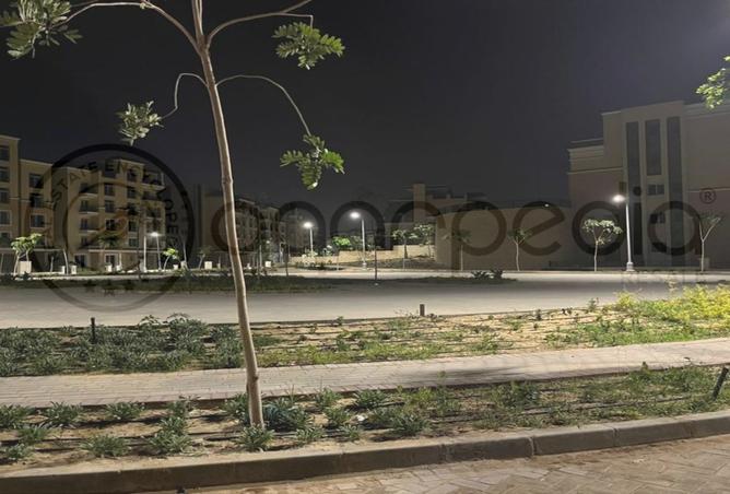 8133816 - Property Image 2