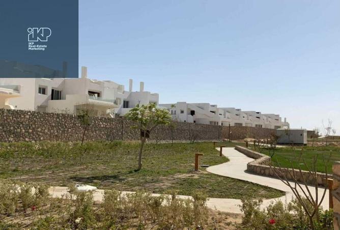 8312379 - صورة العقار 3