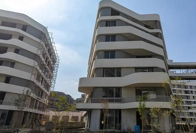 7986180 - Property Image 2