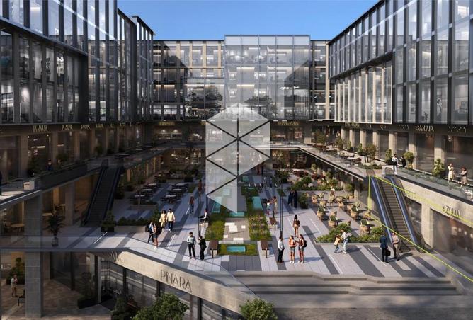 8243925 - Property Image 3