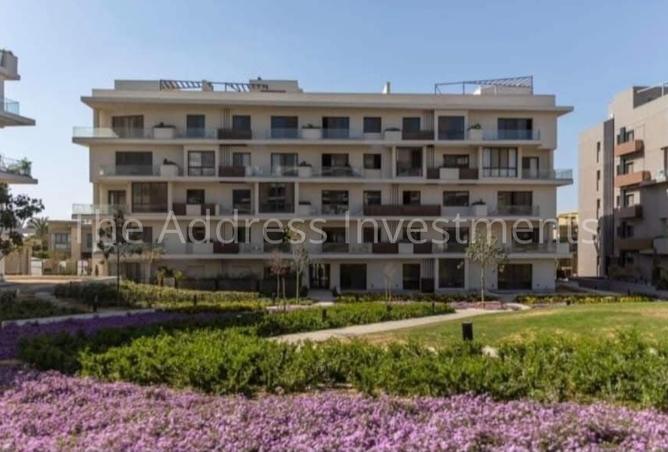 7926685 - Property Image 2