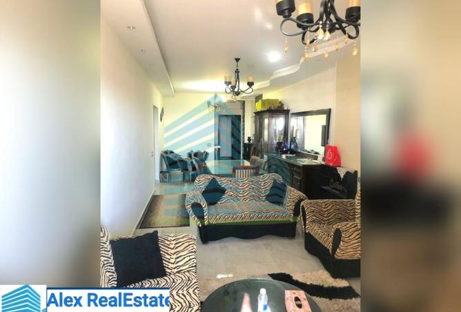 8507373 - Property Image 2