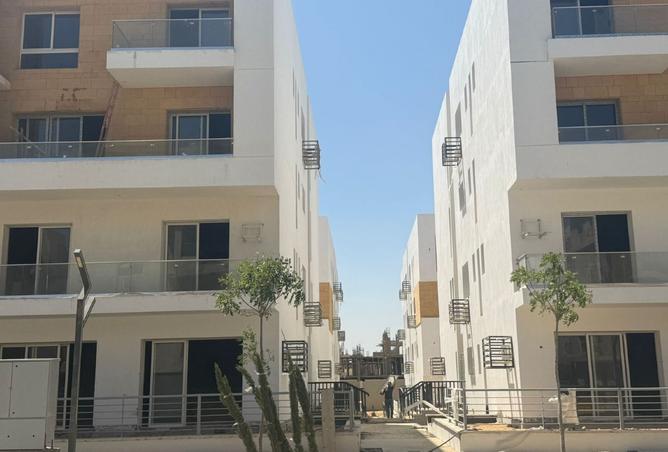 8046890 - Property Image 3