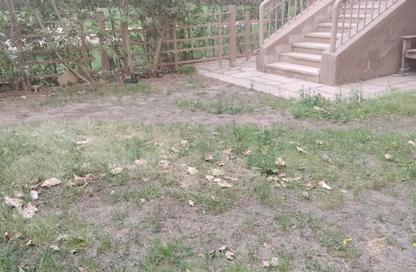 Apartment - 3 Bedrooms - 3 Bathrooms for rent in Madinaty - Cairo