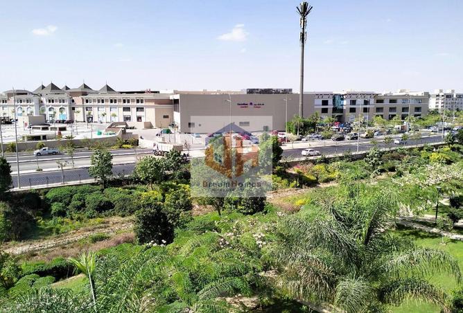 8034519 - صورة العقار 2