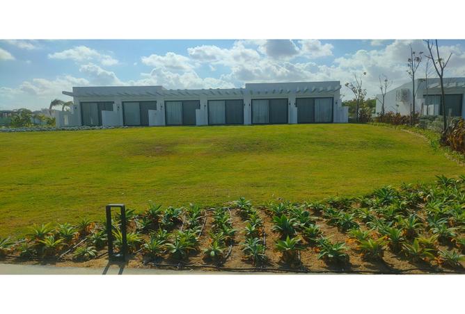7993716 - Property Image 3