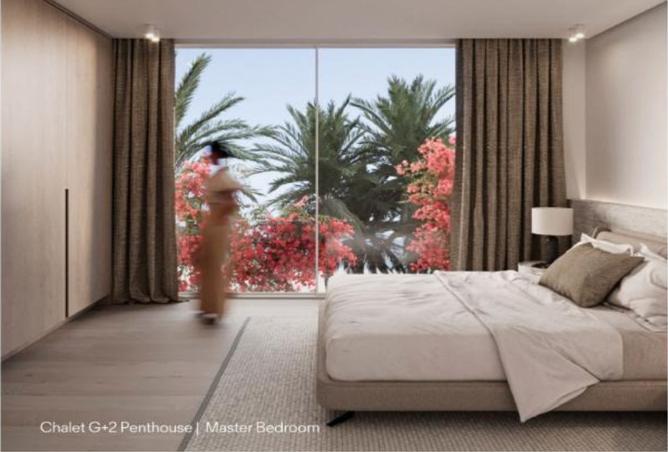 7972025 - Property Image 2