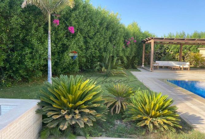 8379861 - الصورة الرئيسية للعقار