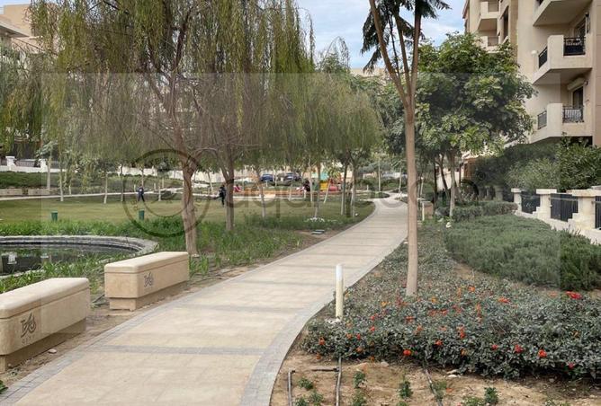 8193326 - Property Image 3