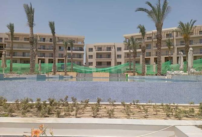 7991752 - Property Image 3